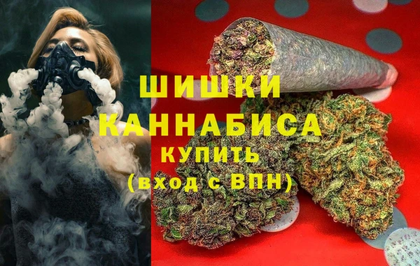 гидра Бугульма